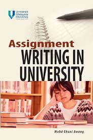 Assignment writing in university 